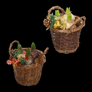 GARDENLINE Hyazinthen im Korb