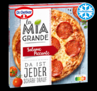 Penny  DR. OETKER La Mia Grande Salame Piccante