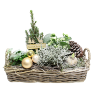 GARDENLINE Weihnachtlich bepflanzter Korb