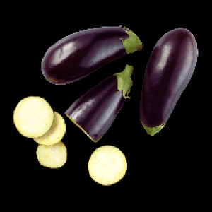 Aldi Nord  Aubergine