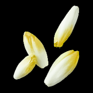 Aldi Nord  Chicorée