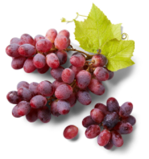 S&uuml;dafrik./peruan. Tafeltrauben, rot