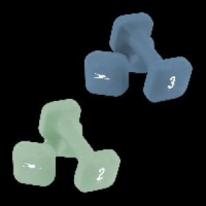 Aldi Nord Crane CRANE Hantel-Set