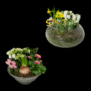 Aldi Nord Gardenline GARDENLINE Fr&uuml;hlingsschale