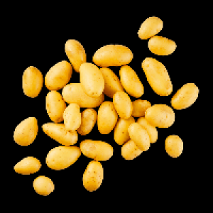 Aldi Nord  Kleine Speisekartoffeln Drillinge