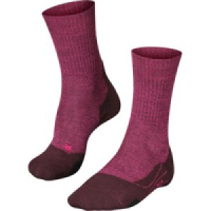 InterSport  TK2 Wool Damen Socken