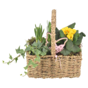 Aldi S&uuml;d  GARDENLINE Korb mit Henkel