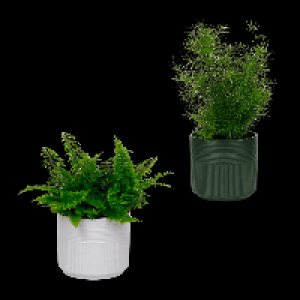 GARDENLINE Gr&uuml;ne Wohn-Oase