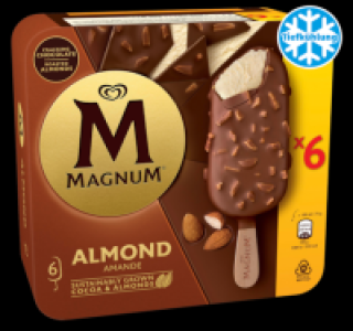 Penny  MAGNUM Almond