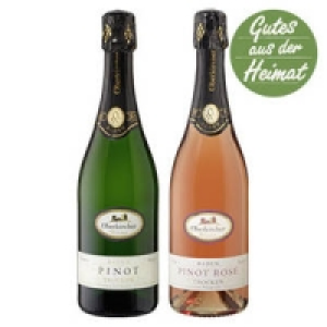 Oberkircher Pinot Sekt Weiss oder Rosé
