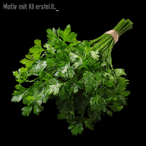 Petersilie glatt 1.49&nbsp;&euro;