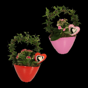 Aldi Nord Gardenline GARDENLINE Efeubogen in Keramik