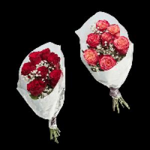 Aldi Nord Gardenline GARDENLINE Langstielige Rosen