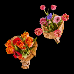 GARDENLINE Fr&uuml;hlingsstrau&szlig;