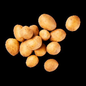 BIO Speisekartoffeln Festkochend