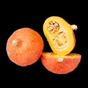 BIO Speisek&uuml;rbis Hokkaido