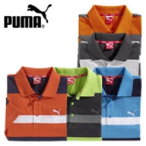 Poloshirt 19.99 €