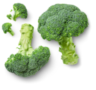 Span./ital. Broccoli