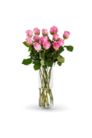 Kaufland  Fairer Strau&szlig; oder Rosenstrau&szlig; Fairtrade