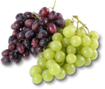 S&uuml;dafrik. Tafeltrauben, hell und rot gemischt