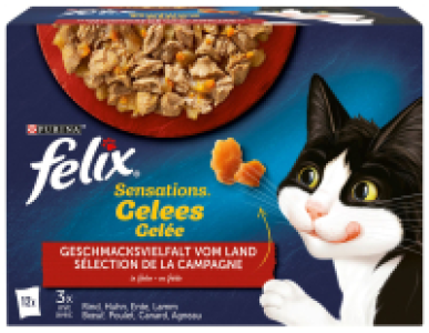 FELIX Katzennahrung