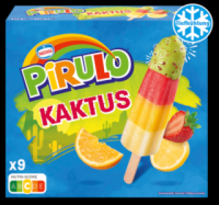 SCH&Ouml;LLER Pirulo Kaktus