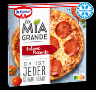 DR. OETKER La Mia Grande