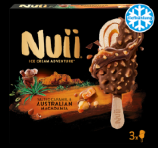 NUII Ice Cream Adventure
