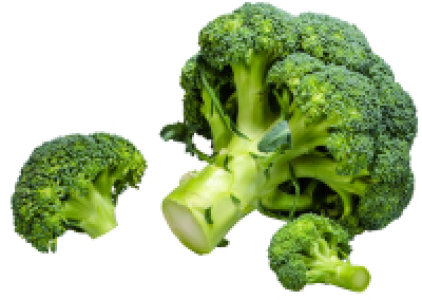 Dtsch./span. Broccoli