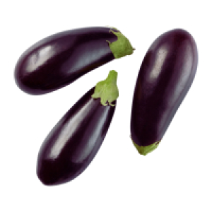 Aubergine