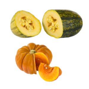 Speisek&uuml;rbis