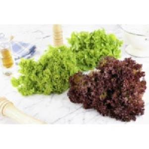 Fine Food Bunte Salate 0.69&nbsp;&euro;