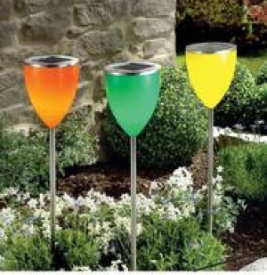 Solartulpe