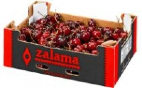 Kirschen 6.99 €
