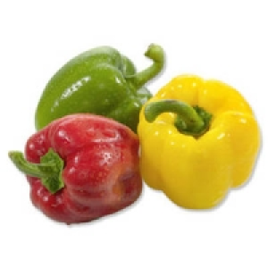 Niederlande Paprika rot, gelb oder gr&uuml;n