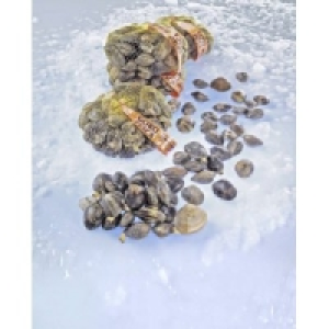 Teppichmuschel Vongole Verace 6.49 €