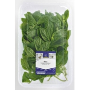 Horeca Select Frische Kräuter 2.29 €