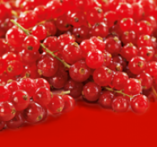 Johannisbeeren 1.49 €