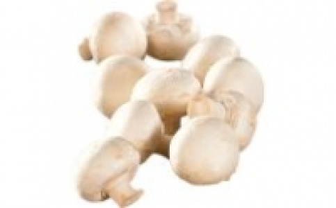 Champignons weiß 1.19 €