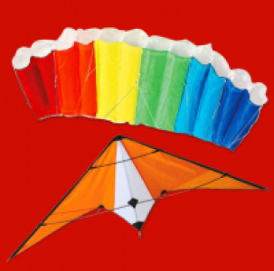 FREE LIMIT Flugdrachen
