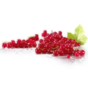 Deutschland Johannisbeeren, rot