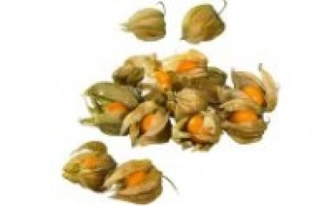 Physalis 0.79 €