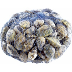 Teppichmuschel Vongole Verace 6.49 €