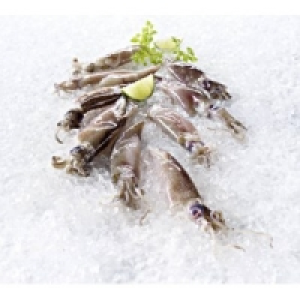 Kalamar Forbesi California 4.99&nbsp;&euro;