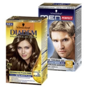 Perfect Mousse, Diadem oder Men Perfect-Coloration