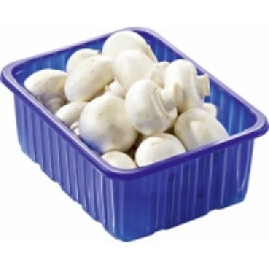 Champignons weiß 0.99 €