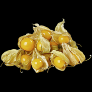 Rewe  Physalis