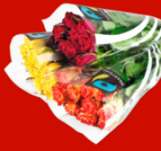 Fairtrade Rosen 2.49 €