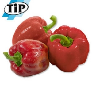 Niederlande Spanien Paprika, rot