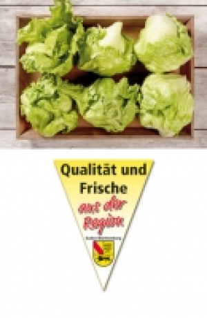 Filderstädter Eisbergsalat 0.49 €